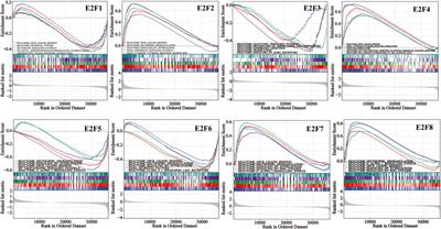 Systematic analysis of the prognosis and immune infiltration of E2Fs in thyroid carcinoma